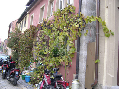 061008-ro-tennburuku-4.jpg