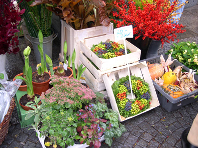 061031hanaya-3.jpg