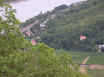 061110ui-nnnomori-ie.jpg