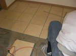 071116gennkanntairu-2.jpg