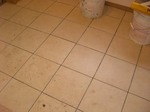 071117dennkanntairu.jpg