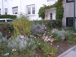 080404niwa-1.jpg