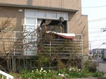 080428piano-sapporo-6.jpg