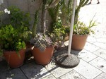 081211-3.jpg