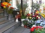 081211ui-nn-1.jpg