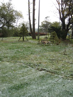 20101027-2.JPG