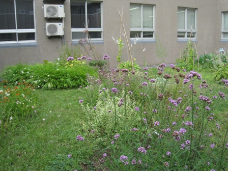 20110818-6.JPG