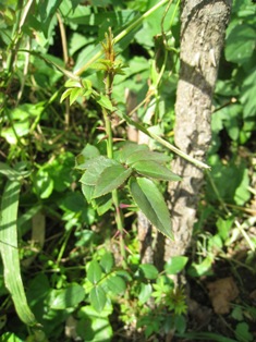 20111023-2.JPG