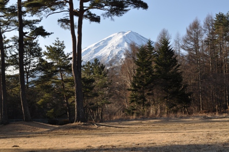 20120305-2.jpg