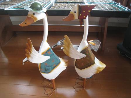 20120404-buriki-3.jpg