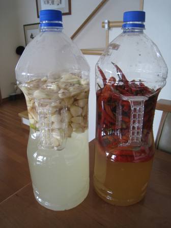 20120406-1.jpg