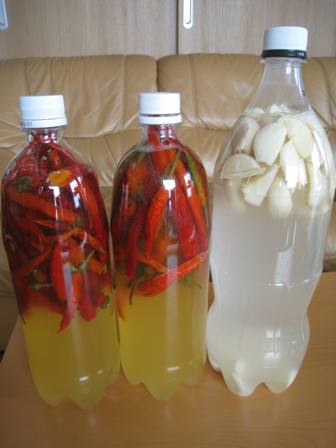 20120406-2.jpg