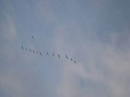 20121117-2.jpg