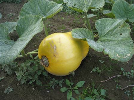 20131023-1.jpg