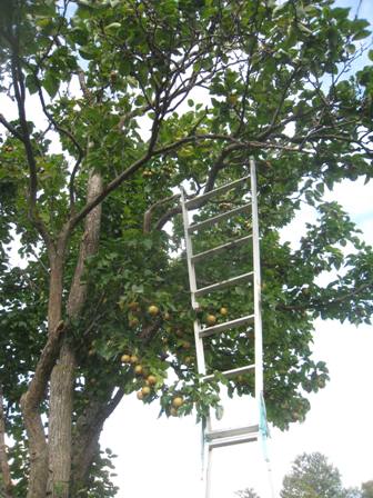 20131023-2.jpg