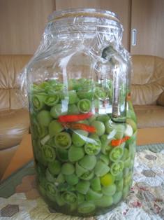 20131114-1.jpg