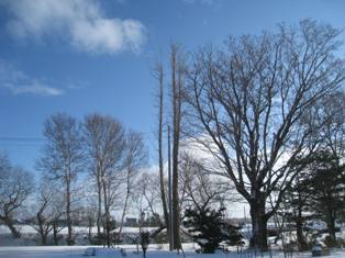 20131228-1.jpg