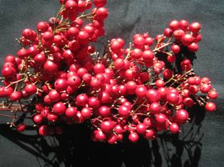 20140119-1.jpg