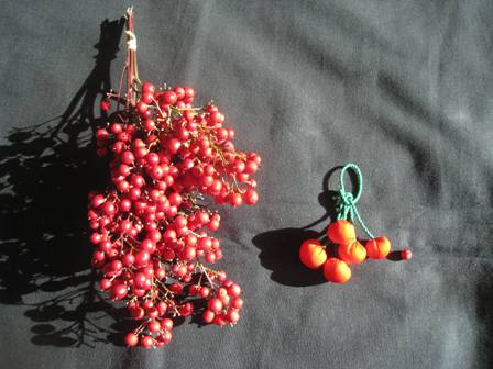 20140119-2.jpg