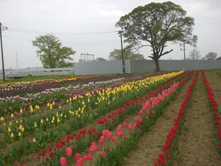 20140210-1.jpg