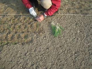 20140508-5.jpg