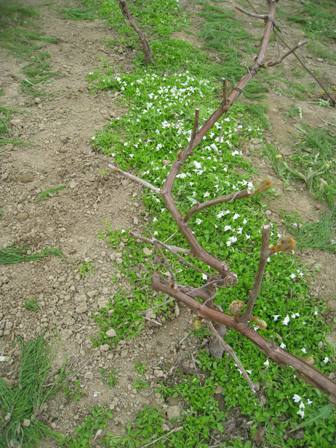 20140526-1.jpg