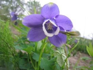 20140527-1.jpg