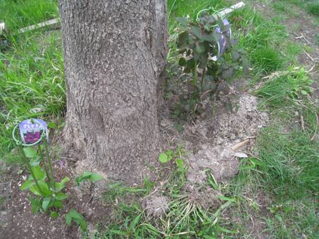 20140528-8.jpg