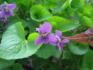 20140529-3.jpg