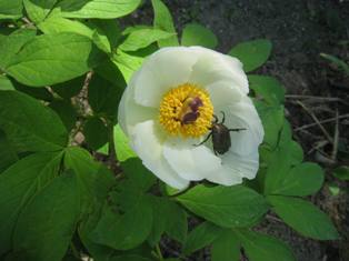 20140602-1.jpg