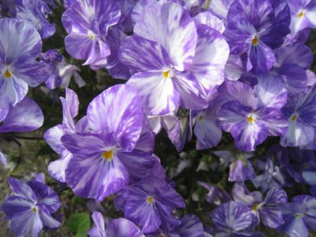 20140602-2.jpg