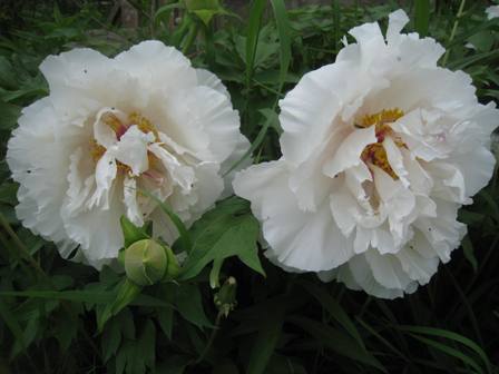 20140607-2.jpg