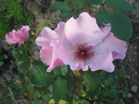 20140629-2.jpg