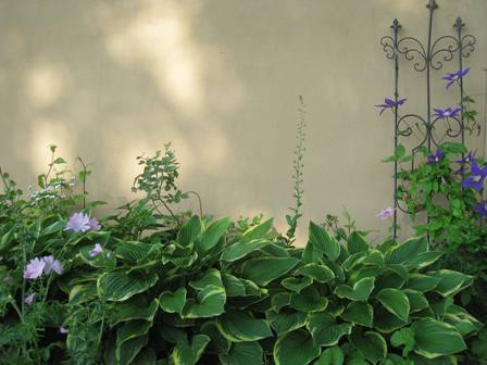 20140713-1.jpg