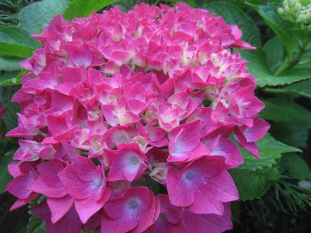 20140728-parijyennnu.jpg