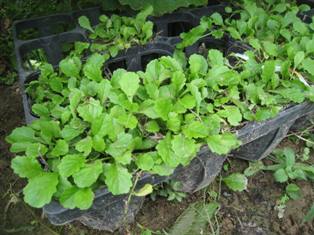 20140822-1.jpg