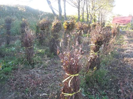 20141016-2.jpg