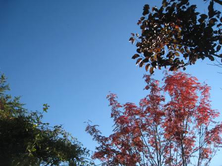 20141023-2.jpg