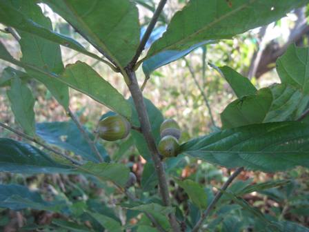 20141026-1.jpg