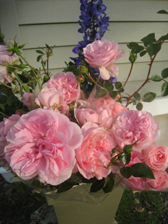 20141027-1.jpg