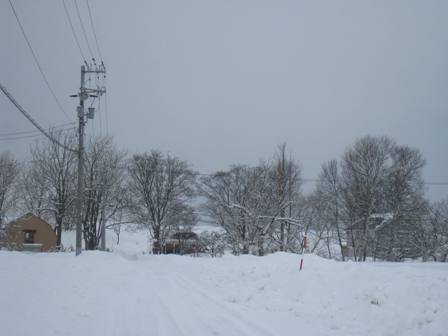20141231-1.jpg