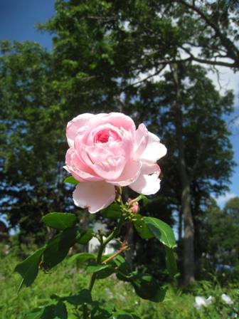 20141831-1.jpg