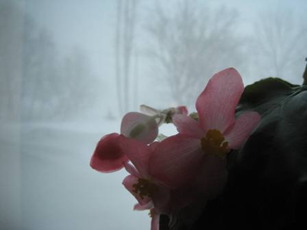 20150120-2.jpg