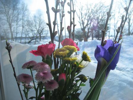 20150222-2.jpg