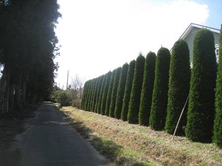 20150331-2.jpg