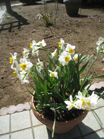 20150331-6.jpg
