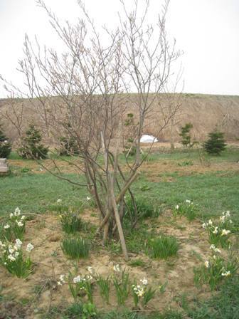 20150428-2.jpg