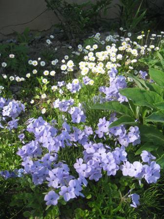 20150524-3.jpg