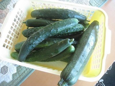 201507-15.JPG
