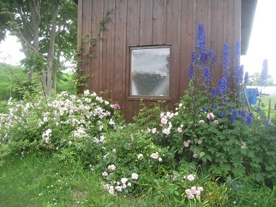 201507-3.jpg